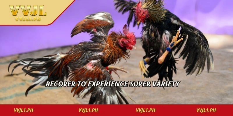 Recover to experience super variety