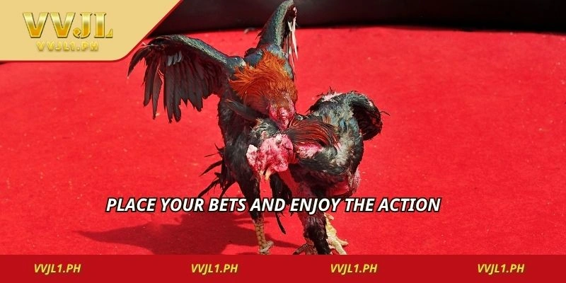Place your bets and enjoy the action