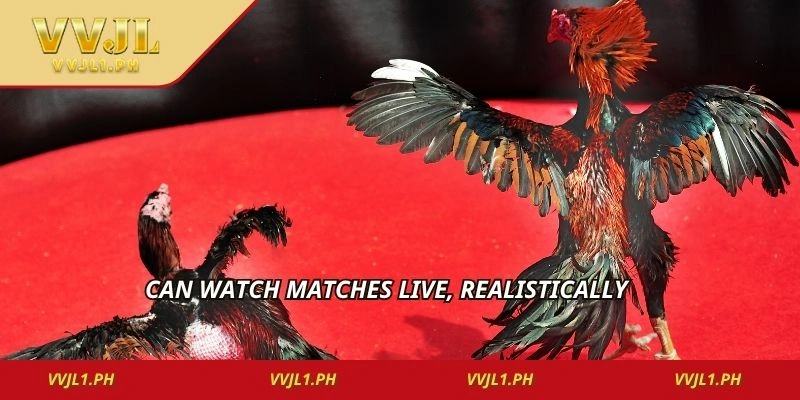 Can watch matches live, realistically